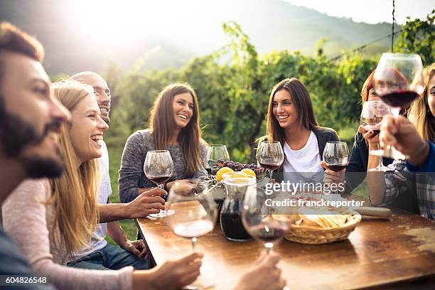 friends toasting with red wine after the harvesting - twilight picnic stock pictures, royalty-free photos & images