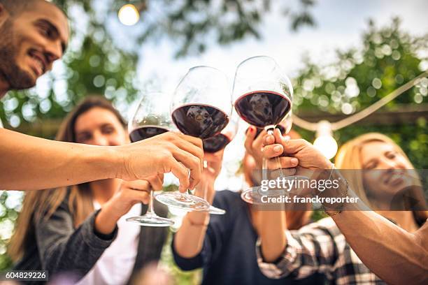 amigos brindando con vino tinto después de la cosecha - vino tinto fotografías e imágenes de stock