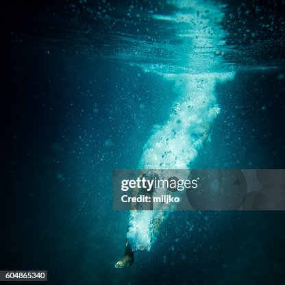Underwater action shot of diver breaking water surface Underwater action shot of diver breaking water surface