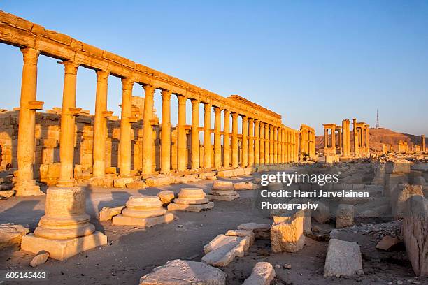 the ancient oasis city of palmyra, syria - palmyra syria stock pictures, royalty-free photos & images