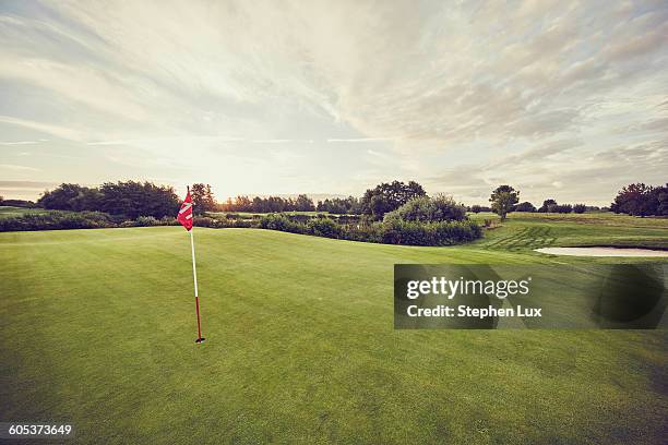 flag in hole on golf course, korschenbroich, dusseldorf, germany - golf course no people stock pictures, royalty-free photos & images