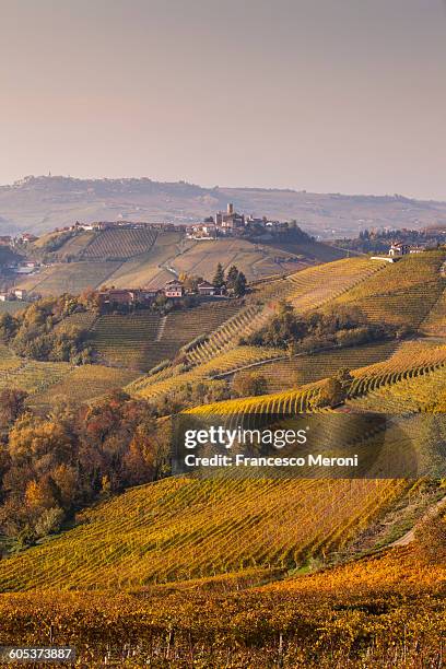 landscape with autumn vineyards and hill village, langhe, piedmont, italy - piedmont stock pictures, royalty-free photos & images