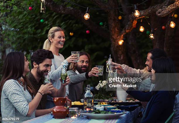 multi-ethnic friends toasting drinks at dinner table in yard - warmes abendessen stock-fotos und bilder