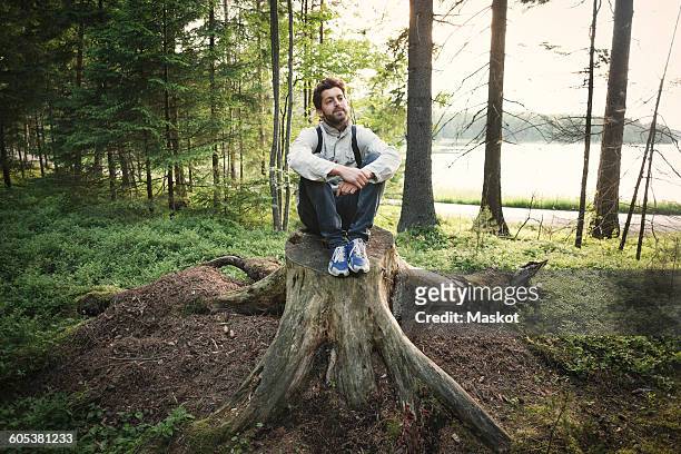 thoughtful wonderlust man sitting on tree stump in forest - stronk stockfoto's en -beelden