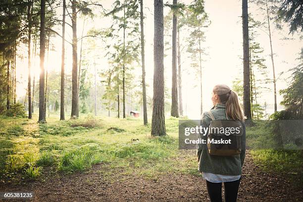 rear view of woman looking away while standing in forest - females hiking stock pictures, royalty-free photos & images