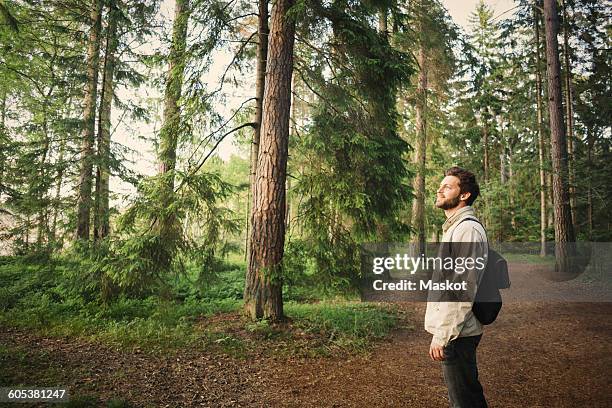 side view of man looking away while standing in forest - profile shoot of bollywood actor parineeti chopra stockfoto's en -beelden