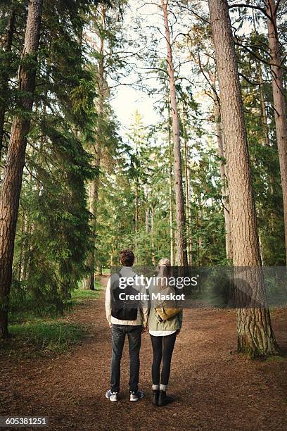 rear view of wonderlust couple standing together in forest - tall women stock pictures, royalty-free photos & images