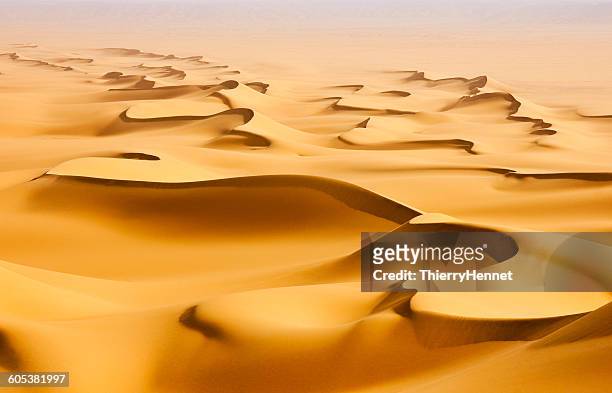sand dunes in the sahara desert at sunrise, egypt - sahara desert stock-fotos und bilder