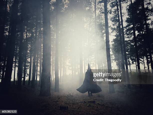 woman dressed as a witch walking through the forest - bruja fotografías e imágenes de stock