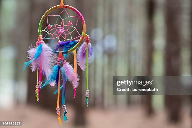 multi-colored dreamcatcher hanging in the woods - dreamcatcher stock-fotos und bilder