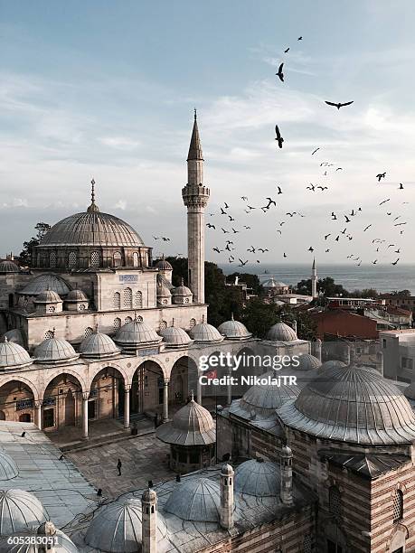blue mosque, istanbul, turkey - sultan ahmad moschee stock-fotos und bilder