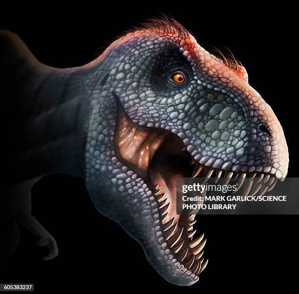 tyrannosaurus rex head, illustration - tierzunge stock-grafiken, -clipart, -cartoons und -symbole