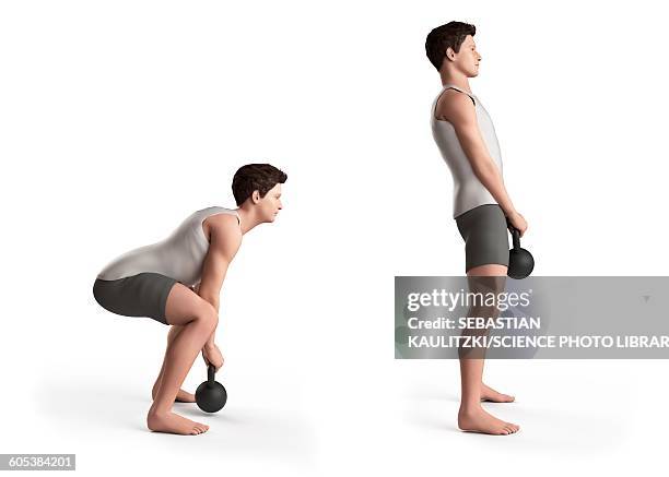 stockillustraties, clipart, cartoons en iconen met person using kettlebell, illustration - deadlift