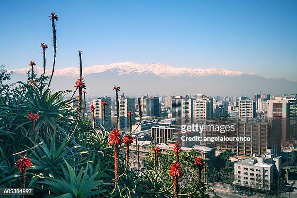 view of the andes, plants and city from santa lucia hill, santiago, chile - santiago chile stock-fotos und bilder