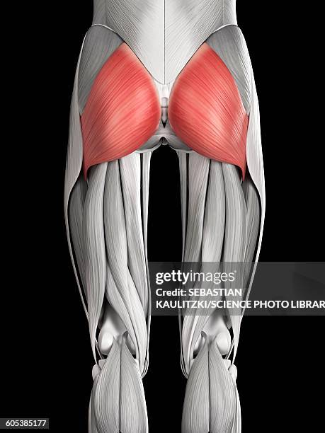 Nargas Rica Ilustraciones, imágenes clip art, dibujos animados e iconos de stock de ...
