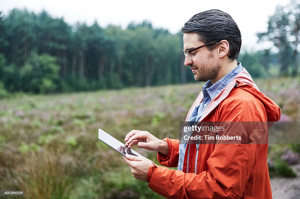 Man with tablet in landscape.