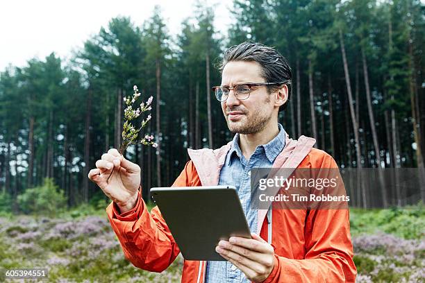 man identifying plant. - botanist stock pictures, royalty-free photos & images