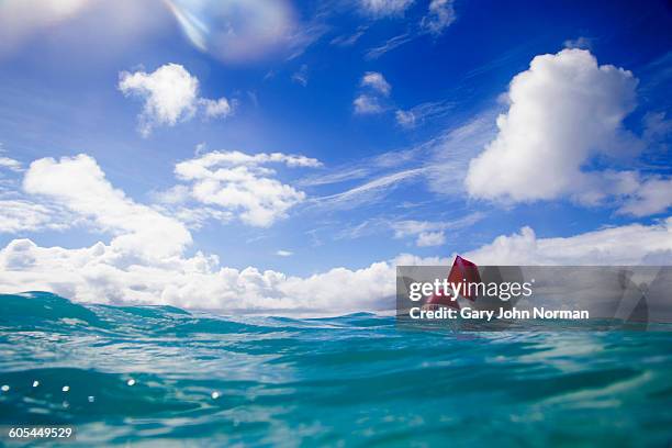 red diving flag floating on water surface - ブイ ストックフォトと画像