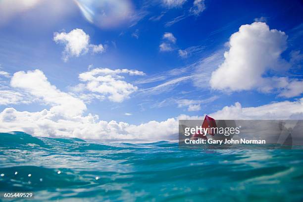 red diving flag floating on water surface - buoy stock pictures, royalty-free photos & images