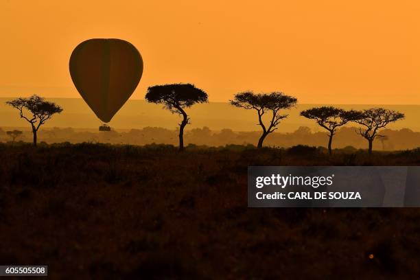 Hot air balloon carrying tourists is pictured during the annual wildebeest migration in the Masai Mara game reserve on September 14, 2016.