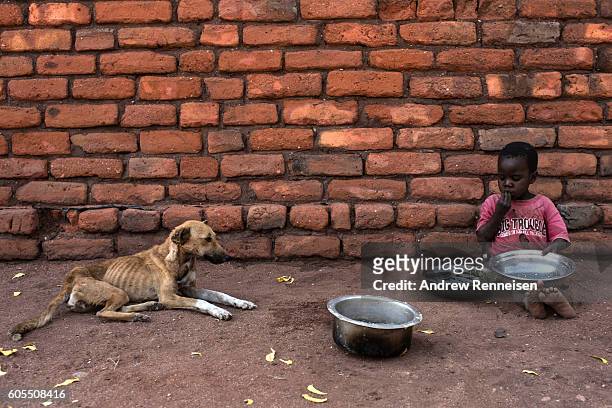 Child eats while a emaciated dog watches in the village of Jekete, which lies in one of the areas most affected by drought, on September 9, 2016 in...