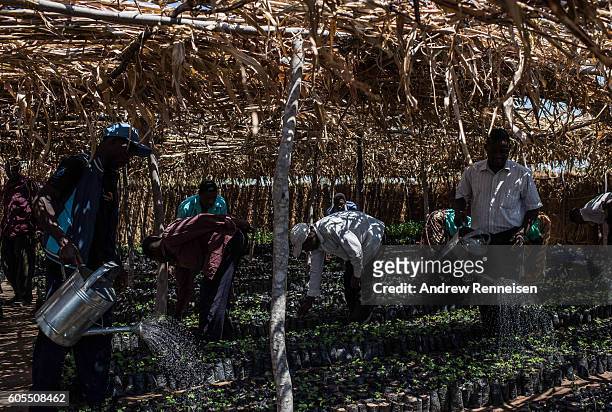People water seedlings at a work for food program run by NGO's World Vision International and the World Food Program in the village of Ngwelelo,...