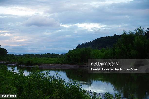 twilight in the heart of madidi - madidi national park stock pictures, royalty-free photos & images