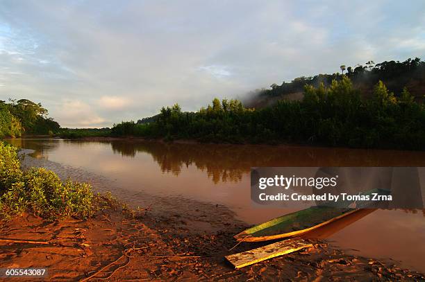 sunrise light in madidi - madidi national park stock pictures, royalty-free photos & images