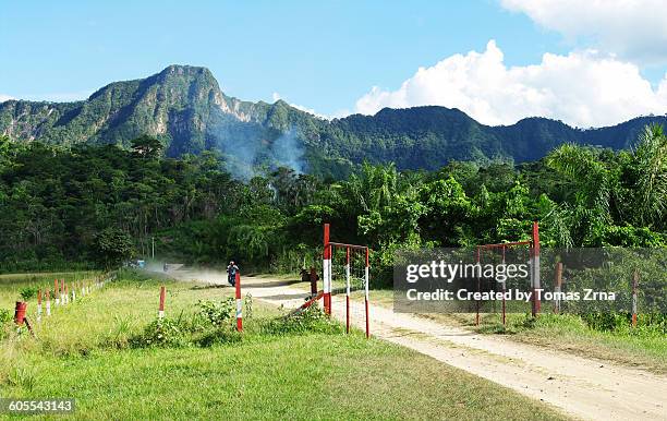 a dirty track to rurrenebaque - madidi national park stock pictures, royalty-free photos & images