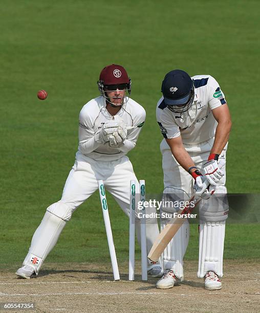 Somerset wicketkeeper Ryan Davies looks on Yorkshire batsman Tim Bresnan is bowled by Jack Leach for 4 runs during day three of the Division One...