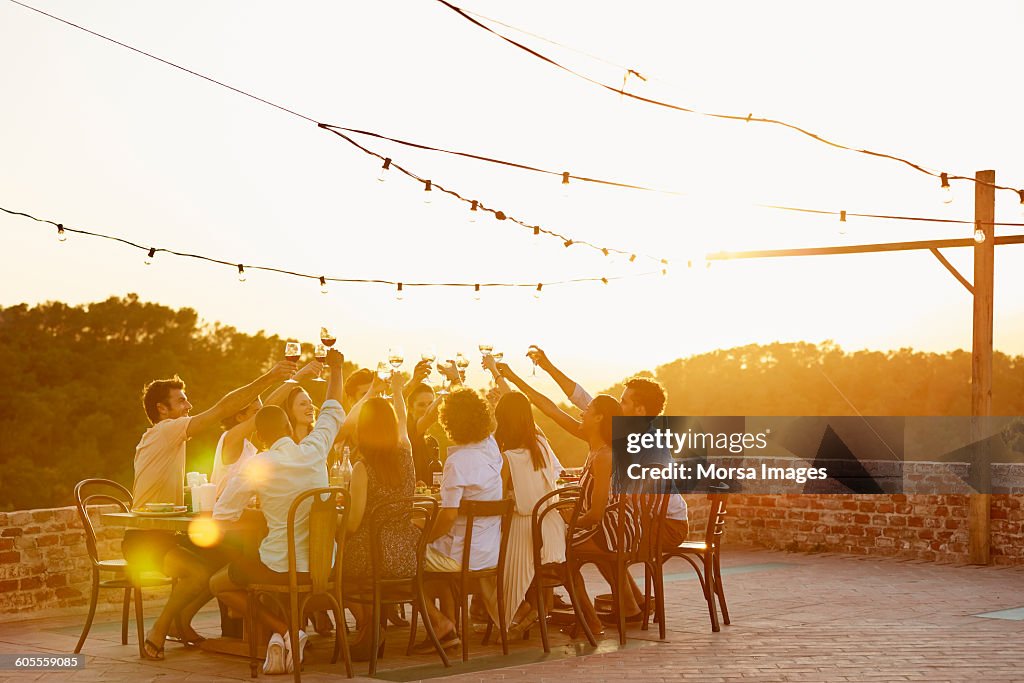 Friends toasting drinks during social gathering