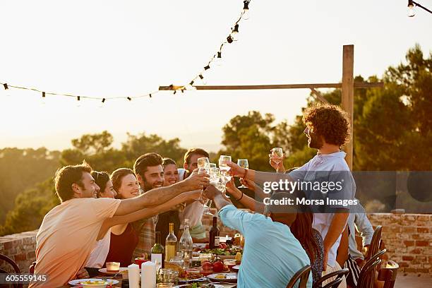 group of friends toasting - toast around the world celebration stock pictures, royalty-free photos & images