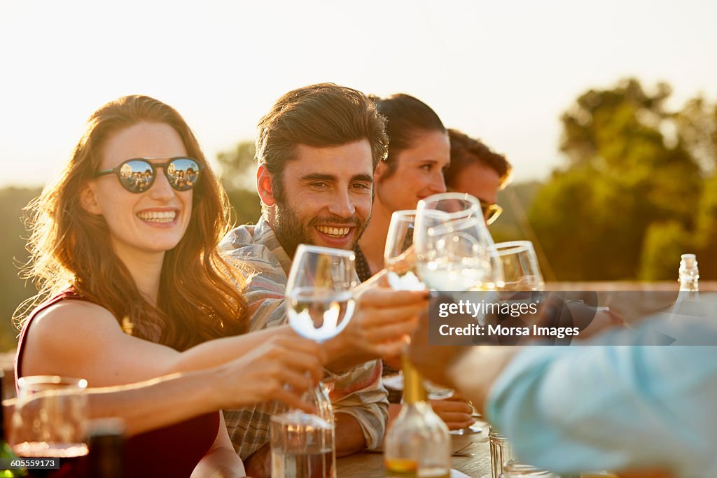 Friends toasting at dinner party