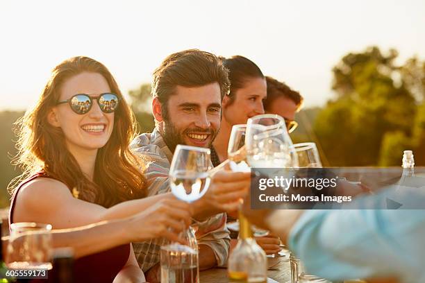 friends toasting at dinner party - brindis fotografías e imágenes de stock