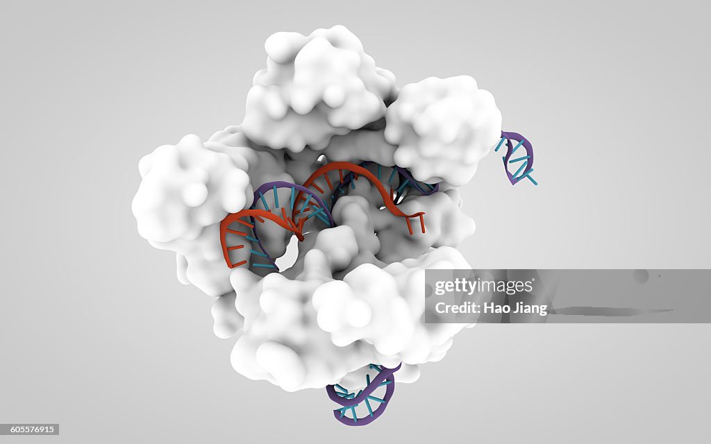 CRISPR