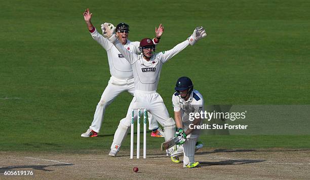 Somerset slip Marcus Trescothick and wicketkeeper Ryan Davies appeal as Yorkshire batsman Jake Lehmann is lbw to Jack Leach for 116 runs during day...