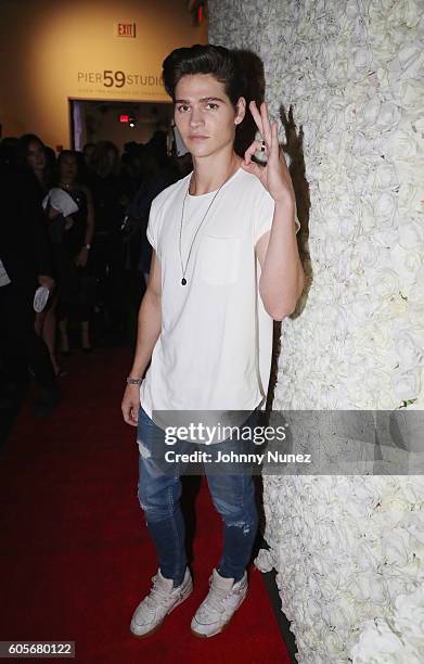 Will Peltz attends the 3rd Annual The Elements On 5th Ave Fashion Show at Pier 59 on September 13, 2016 in New York City.