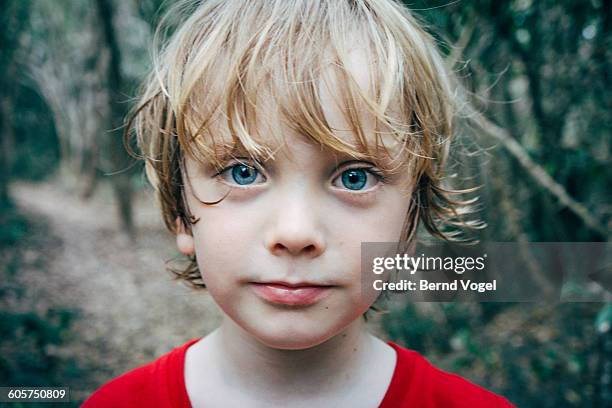 portrait of a boy in nature - blonde blue eyes stock pictures, royalty-free photos & images