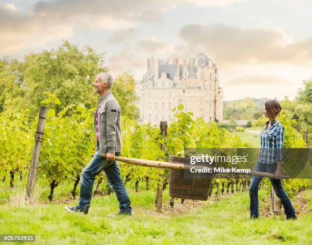 caucasian farmers carrying grapes in vineyard - ロワール渓谷 ストックフォトと画像