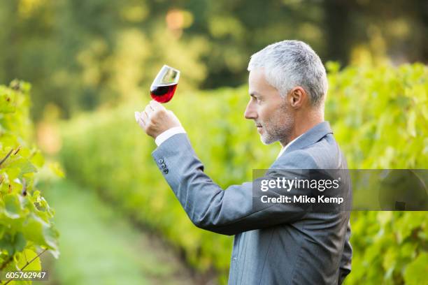 caucasian man examining glass of wine in vineyard - loire valley spring stock pictures, royalty-free photos & images