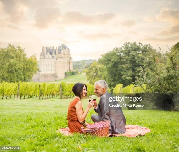 caucasian couple enjoying wine at picnic - french chateau stock pictures, royalty-free photos & images