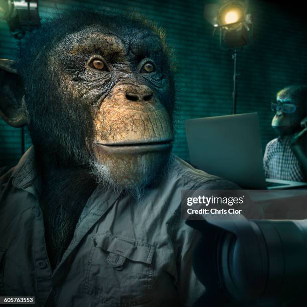 ilustraciones, imágenes clip art, dibujos animados e iconos de stock de monkey sitting near camera lens - monkey wearing glasses