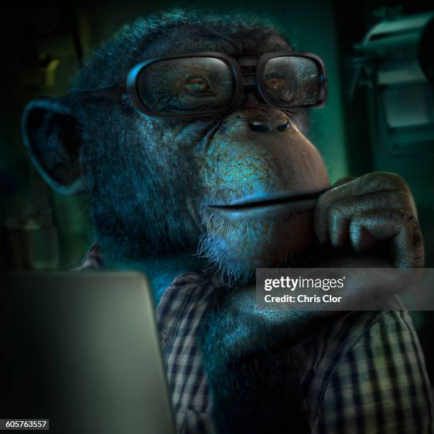 monkey in eyeglasses resting chin in hand - monkeys stock-grafiken, -clipart, -cartoons und -symbole