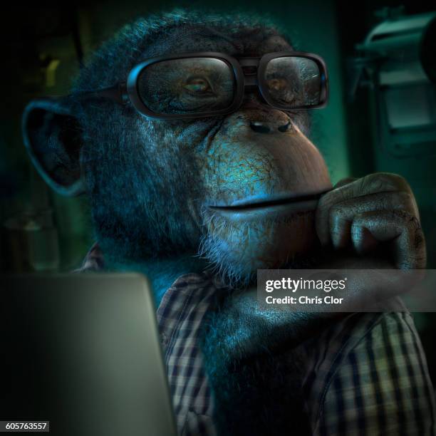 ilustrações de stock, clip art, desenhos animados e ícones de monkey in eyeglasses resting chin in hand - monkey wearing glasses
