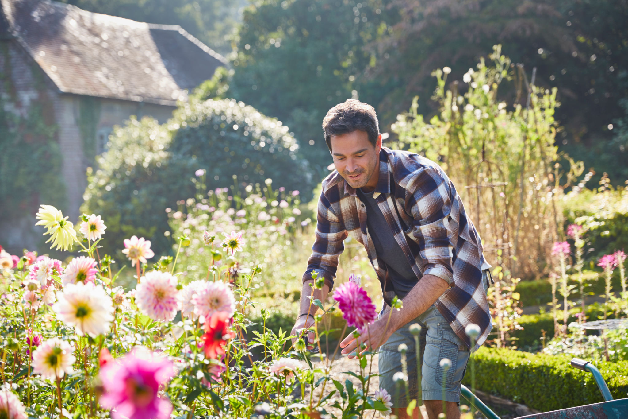 summer garden care