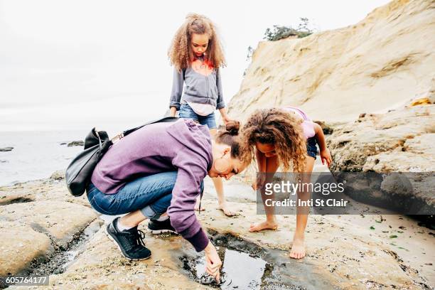 mother and daughters examining tide pools on beach - tide pool stock pictures, royalty-free photos & images