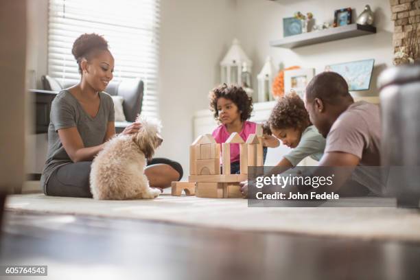 family playing with building blocks in living room - dog on wooden floor stock pictures, royalty-free photos & images