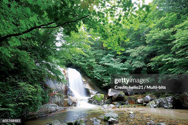 440 Inje Stock Photos, High-Res Pictures, and Images - Getty Images