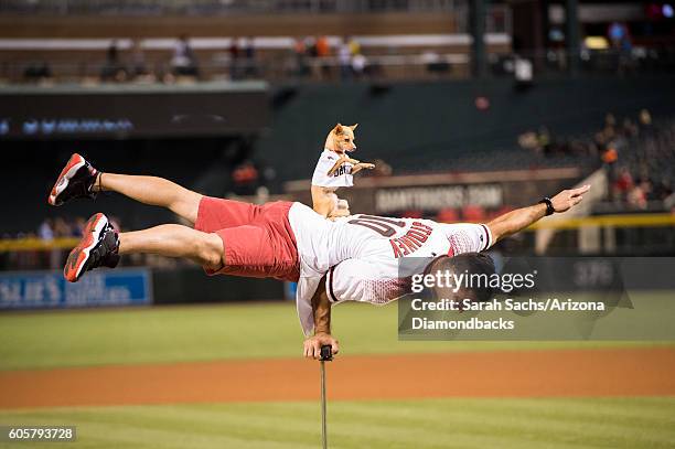 Christian Stoinev and his pet Scooby perform prior to throwing out the first pitch at an Arizona Diamondbacks game at Chase Field on September 14,...