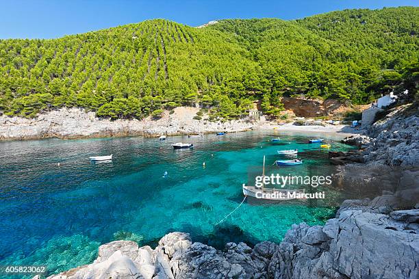 mljet bay - dalmatie croatie photos et images de collection